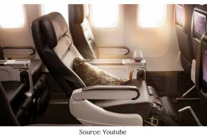 All things you need to know - Best Premium Economy Flights