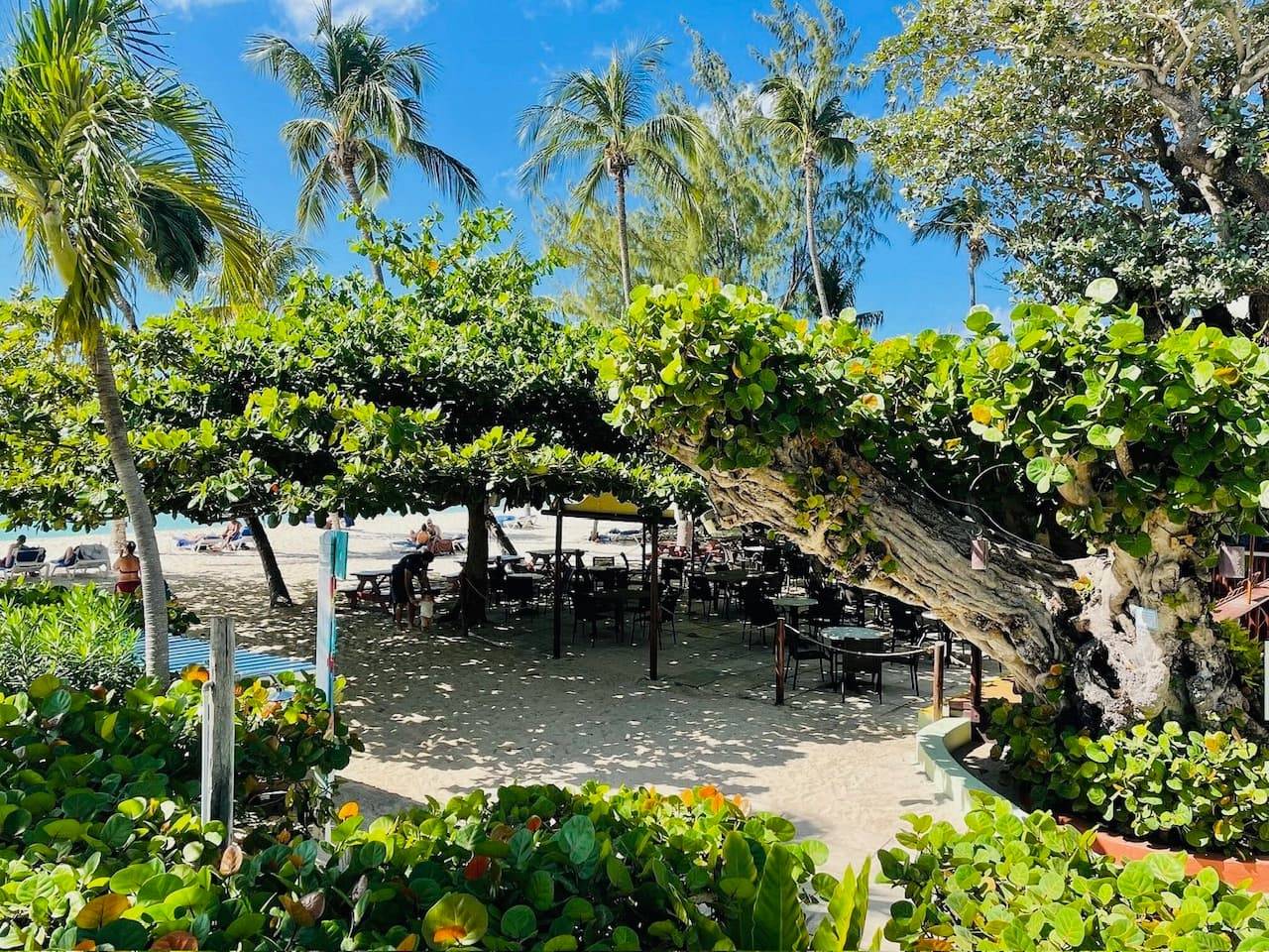 Coconut Court Beach Hotel